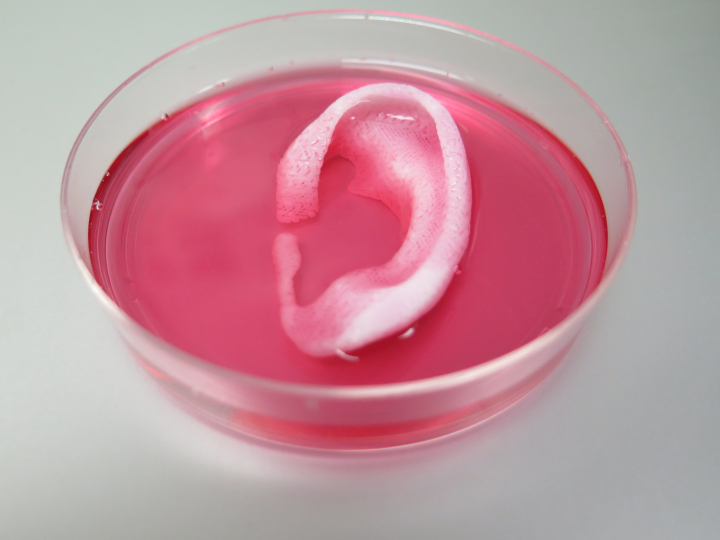 3d-printed-ear