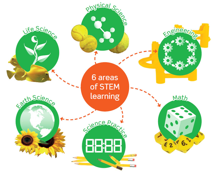 Stem проект что это