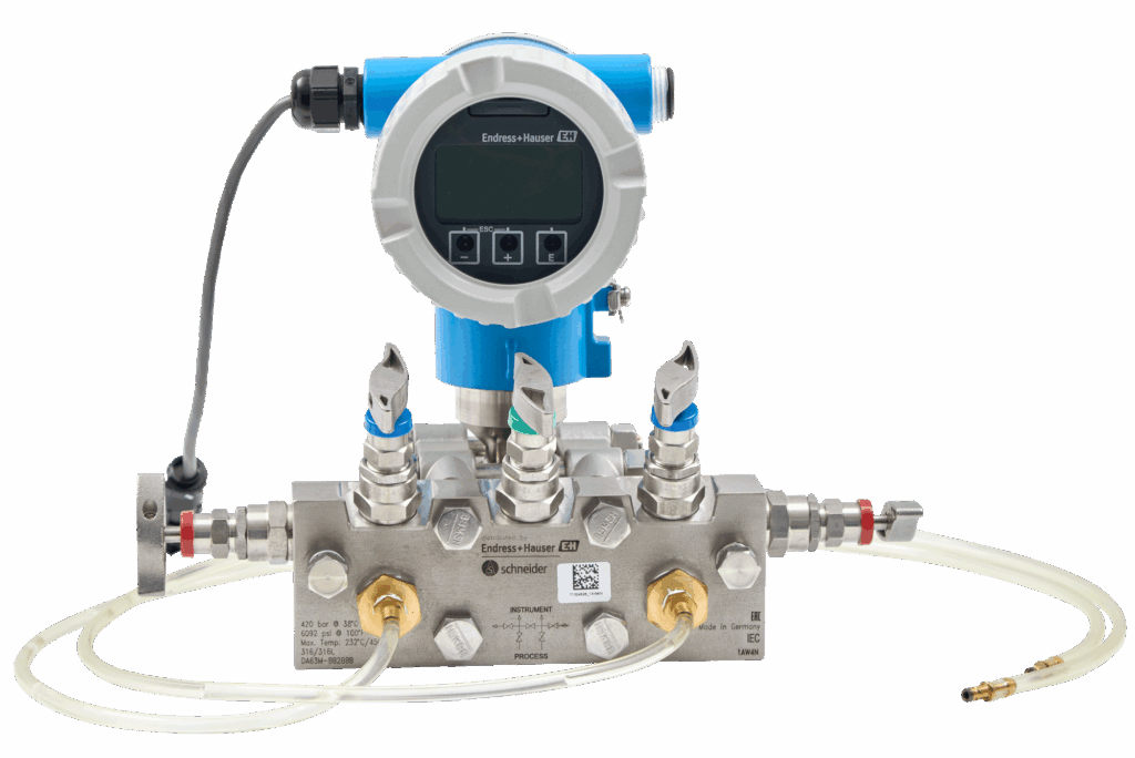 Endress+Hauser process transmitter mounted on a gray valve block with multiple fittings and translucent tubing connected to the system
